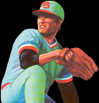 Championship Baseball Icon