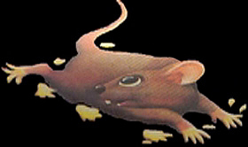 Rotor Raiders Icon